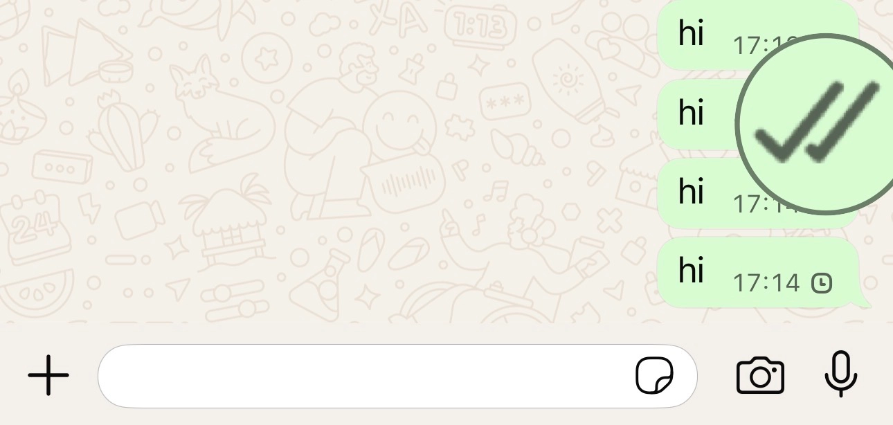 Figure 1: A WhatsApp message on mobile with double check marks, indicating the network is working.